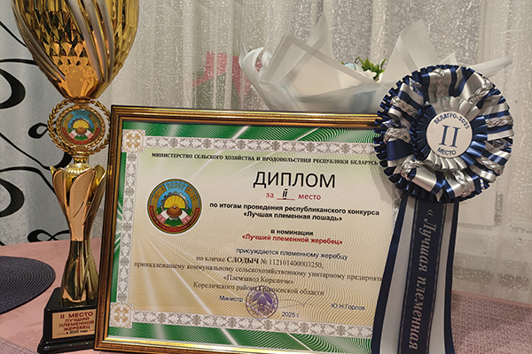 Жеребец по кличке Слодыч занял второе место! Жеребец по кличке Слодыч занял второе место!